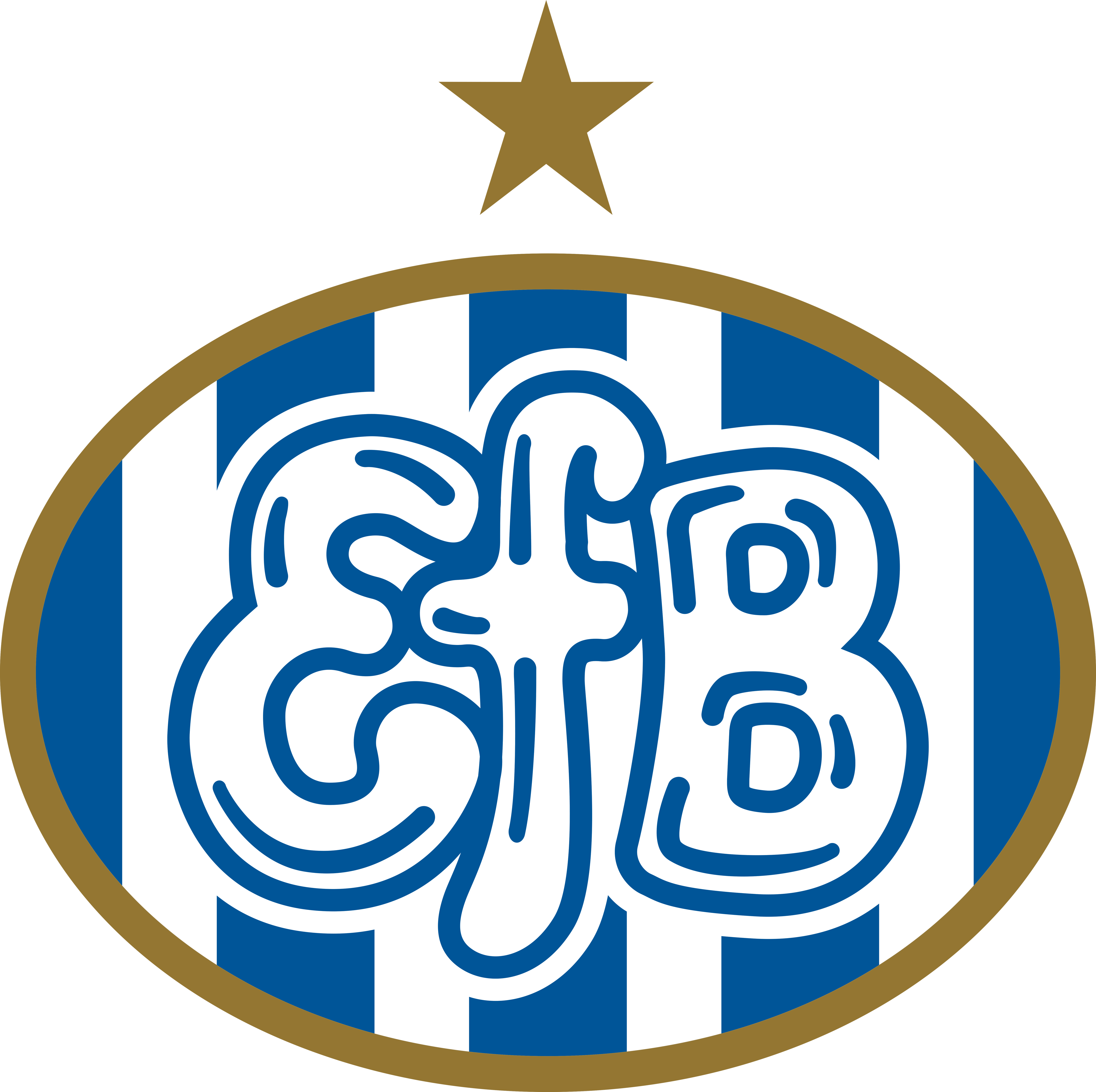 EFB Elite A/S