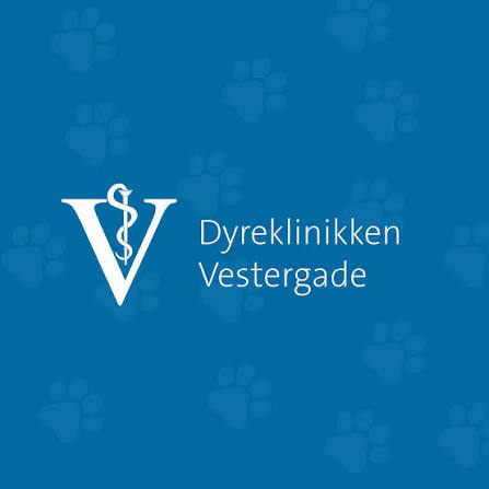 Dyreklinikken Vestergade 